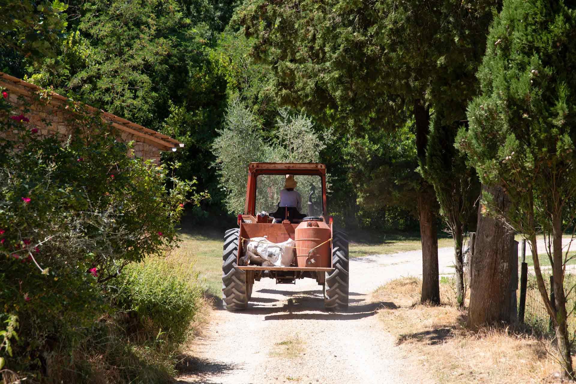 Fattoria-Ma-Falda-14