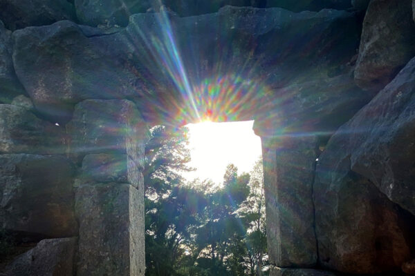 Awakening to Life