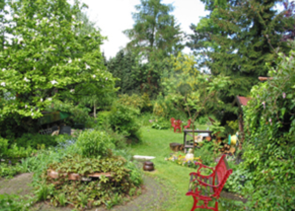 Intensive in the Netherlands Intensive in the Netherlands